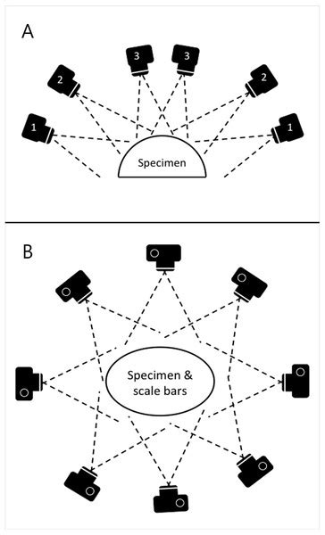 Moving To 3d Relationships Between Coral Planar Area Surface Area And