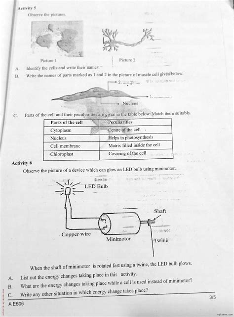 Class 6 Basic Science Onam Exam Question Paper 2024 Pdf Kerala Std