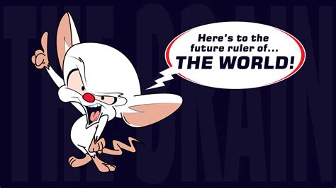 Pinky And The Brain Wallpaper