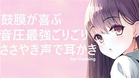 【asmr】鼓膜が喜ぶ音圧最強ごりごりささやき声で耳かき【耳かきボイス】 Youtube