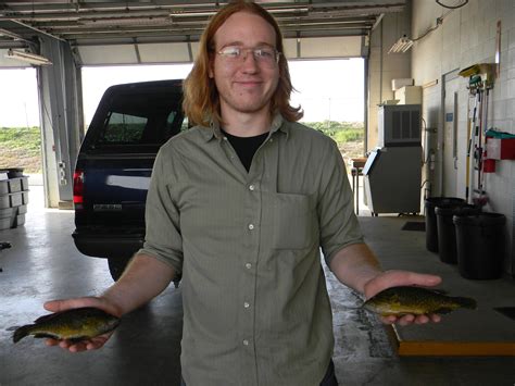 64 best Warmouth images on Pholder | Fishing, Micro Fishing and Bassfishing