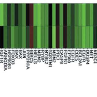 Hierarchical Clustering Overall Gene Expression Pattern Of Reliably