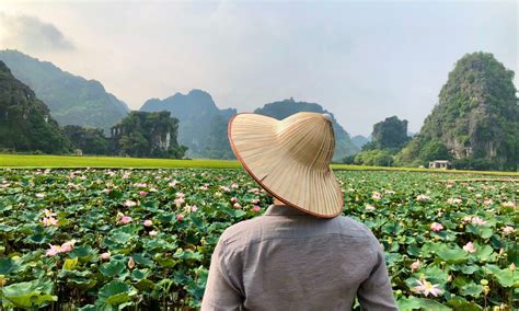 Off Hoa Lu Tam Coc Trang An And Mua Cave Day Tour From Hanoi