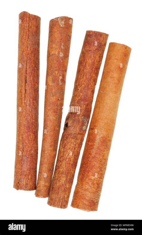 The Correct Real Texture Of Dried Cinnamon Bark Sticks Isolated On