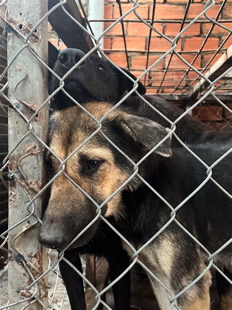 Understanding Survivor's Guilt: Causes and Symptoms 2