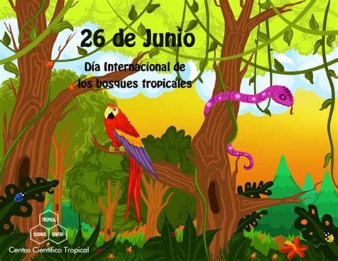 De Junio D A Internacional De Los Bosques Tropicales