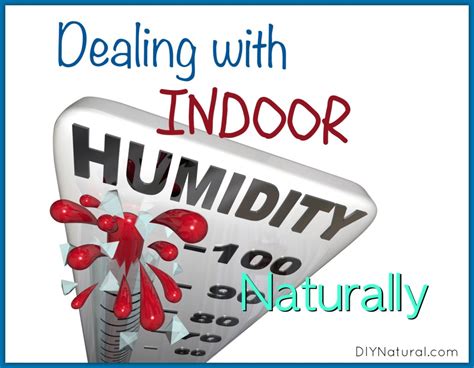 DIY Dehumidifier: And Other Ways to Deal with Indoor Humidity Naturally