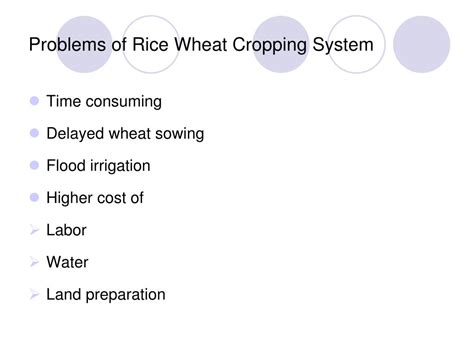 Ppt Rice Wheat Cropping System Powerpoint Presentation Free Download Id4780030