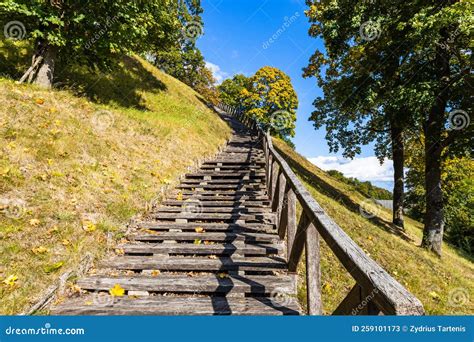 Escadas De Madeira No Meio Da Natureza Para Subir Ou Descer Imagem De