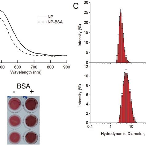 Protein Concentration Calibration Curve Of Bsa Obtained From The Download Scientific Diagram