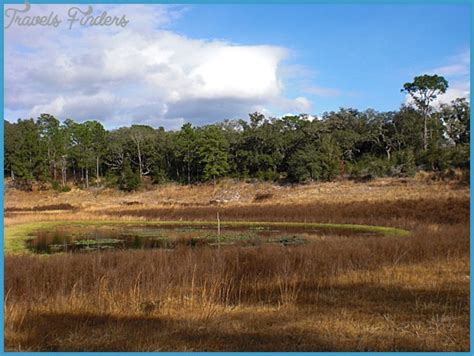 GOLD HEAD BRANCH STATE PARK MAP FLORIDA - TravelsFinders.Com