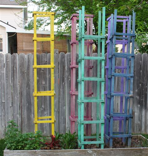 Boise Daily Photo Garden Shot Tomato Cages And A Cucumber Ladder