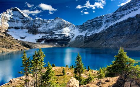 Fonds d écran Parc national Yoho lac montagnes arbres nuages neige