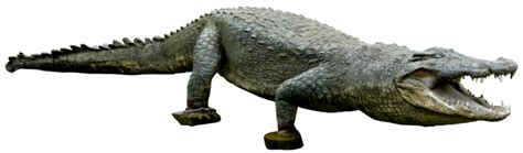 crocodile png - Clip Art Library