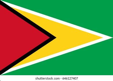 Flag Guyana Vector Accurate Dimensions Element Stock Vector (Royalty ...