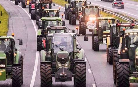 Continua La Protesta Degli Agricoltori In Calabria Bisogna Ridare