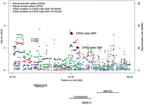 Regional Association Plot At Chromosome 5 Locus Using ARIC Data