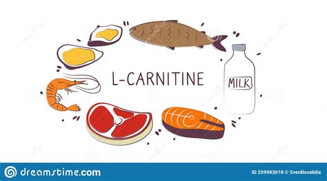 L Carnitine Containing Food Groups Of Healthy Products Containing