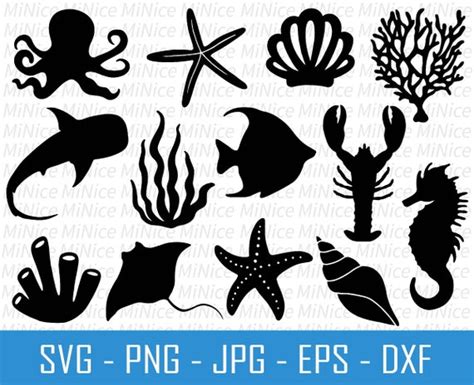 Ocean Life Svg Bundle Ocean Animal Svg Under The Sea Svg Etsy Uk