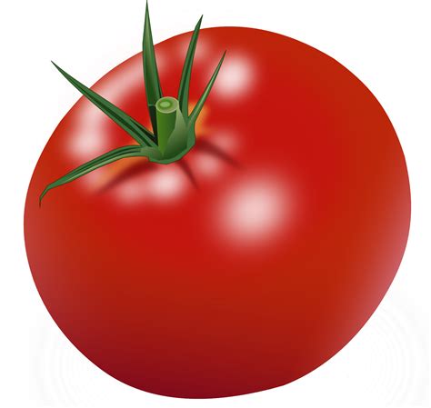 Tomato PNG