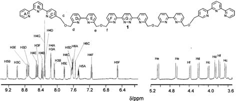 Five Hundred Megaherz Proton Nmr Spectrum Of The Zn Ii Complex