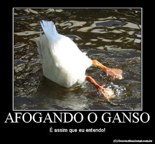O Que É Afogar O Ganso - Blog do Malino: Afogar o ganso