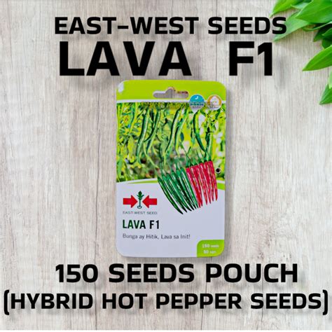 LAVA F1 LIKE VULCAN F1 HYBRID HOT PEPPER SEEDS 150 SEEDS EAST WEST