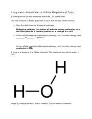 Assignment Introduction To Cellular Respiration Pts Docx