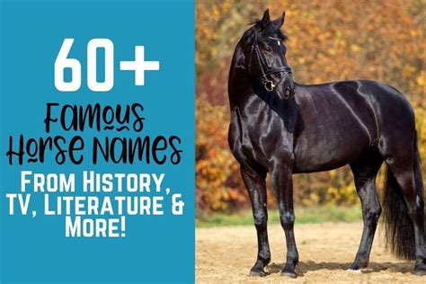 60+ Famous Horse Names from History, TV, Literature & More! - Helpful ...