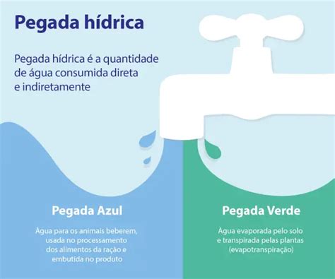 Consumo de Água e Pegada Hídrica Mundo Ecologia