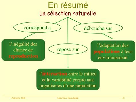 Ppt Volution Et S Lection Naturelle Powerpoint Presentation Free