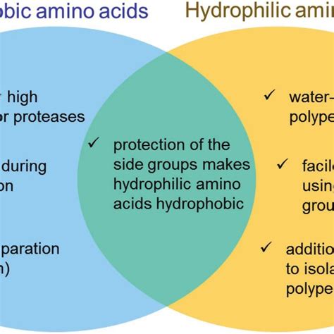 Properties Of Hydrophobic Amino Acids Gaswchampion