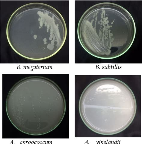 Figure From Formulation Of Bacillus And Azotobacter Consortia In