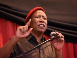 Biography Of Julius Malema Age Wife Net Worth Speech News