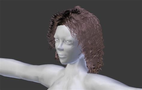 Woman Rigged 3d Model 2 Blend Dae Free3d