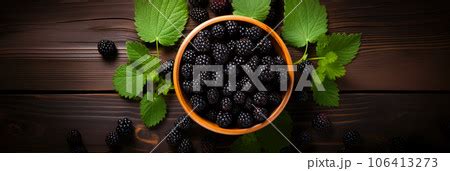 Blackberry Banner Bowl Full Of Blackberries Pixta