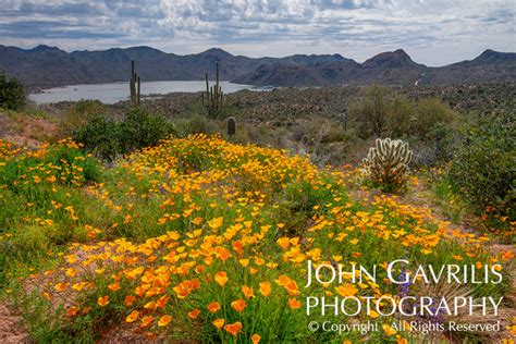 Southwestern Landscapes