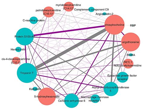 Identifying Proteinmetabolite Networks Associated With COPD Phenotypes