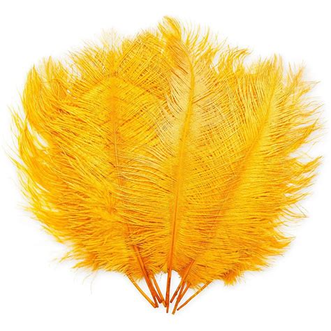 Ostrich Feather Plumes for Crafts, Wedding, Home Decor (Yellow, 12-14 ...