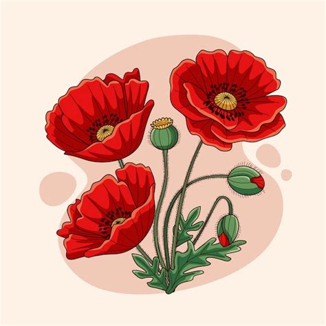 Premium Vector Hand Drawn Poppy Flower Illustration