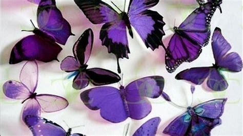 Purple Butterfly Wallpapers Top Free Purple Butterfly Backgrounds