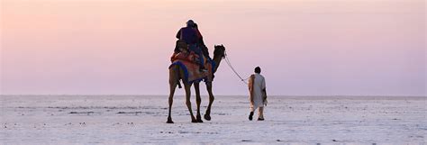 Rann of Kutch Festival - DarkGreen Adventures