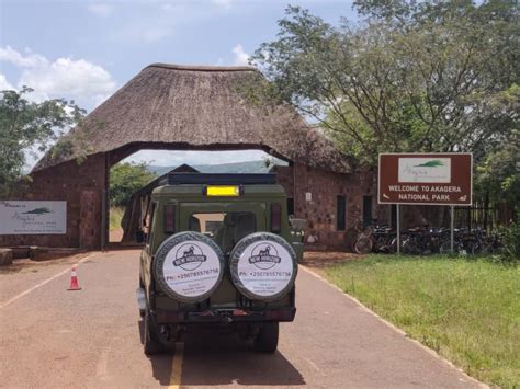 1 Day Akagera National Park Safari Rwanda S Wildlife Adventure