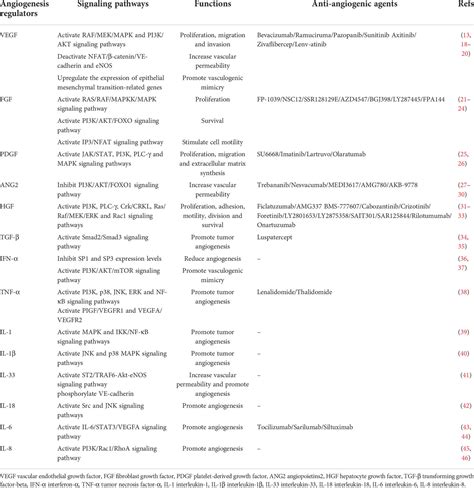 Frontiers Manipulation Of The Crosstalk Between Tumor Angiogenesis