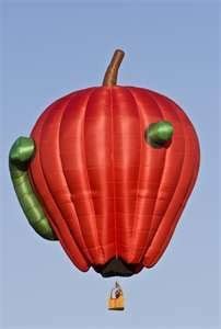 Pin By Sandi White Thomas On Hot Air Balloons Air Balloon Hot Air