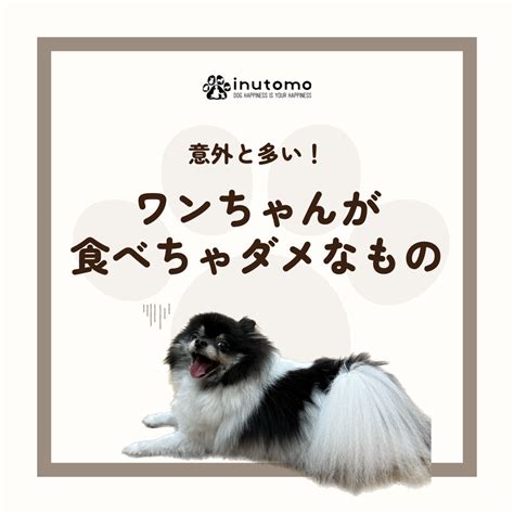 ワンちゃんが食べちゃダメなもの Inutomo