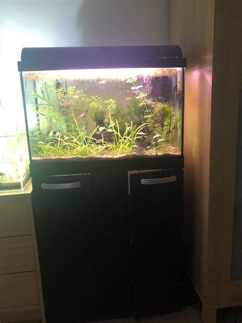 Litre Fish Tank In Verwood Dorset Gumtree