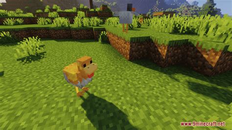 Minecraft Earth Chicken Resource Pack 1 20 6 1 20 1 Texture Pack