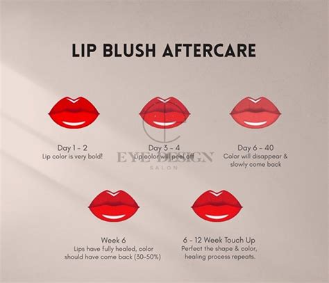 Lip blushing healing stages - The full day-by-day process