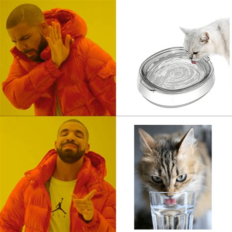 A meme my cat would probably make. : r/Catmemes